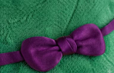 Healo plushie bow closeup