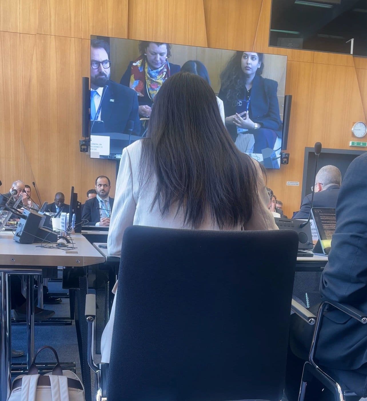 Infiheal at the United Nations and WHO Headquarters for the 79th World Health Assembly, Geneva - Image 2