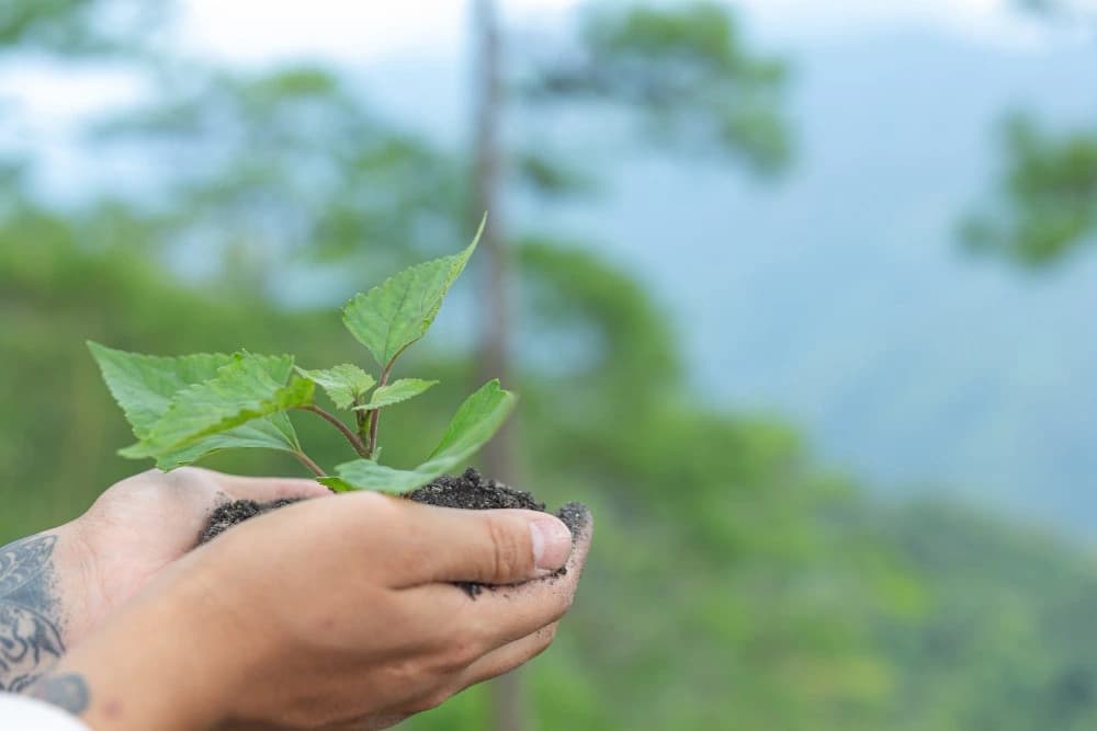 Nature, Nurture, and Epigenetics